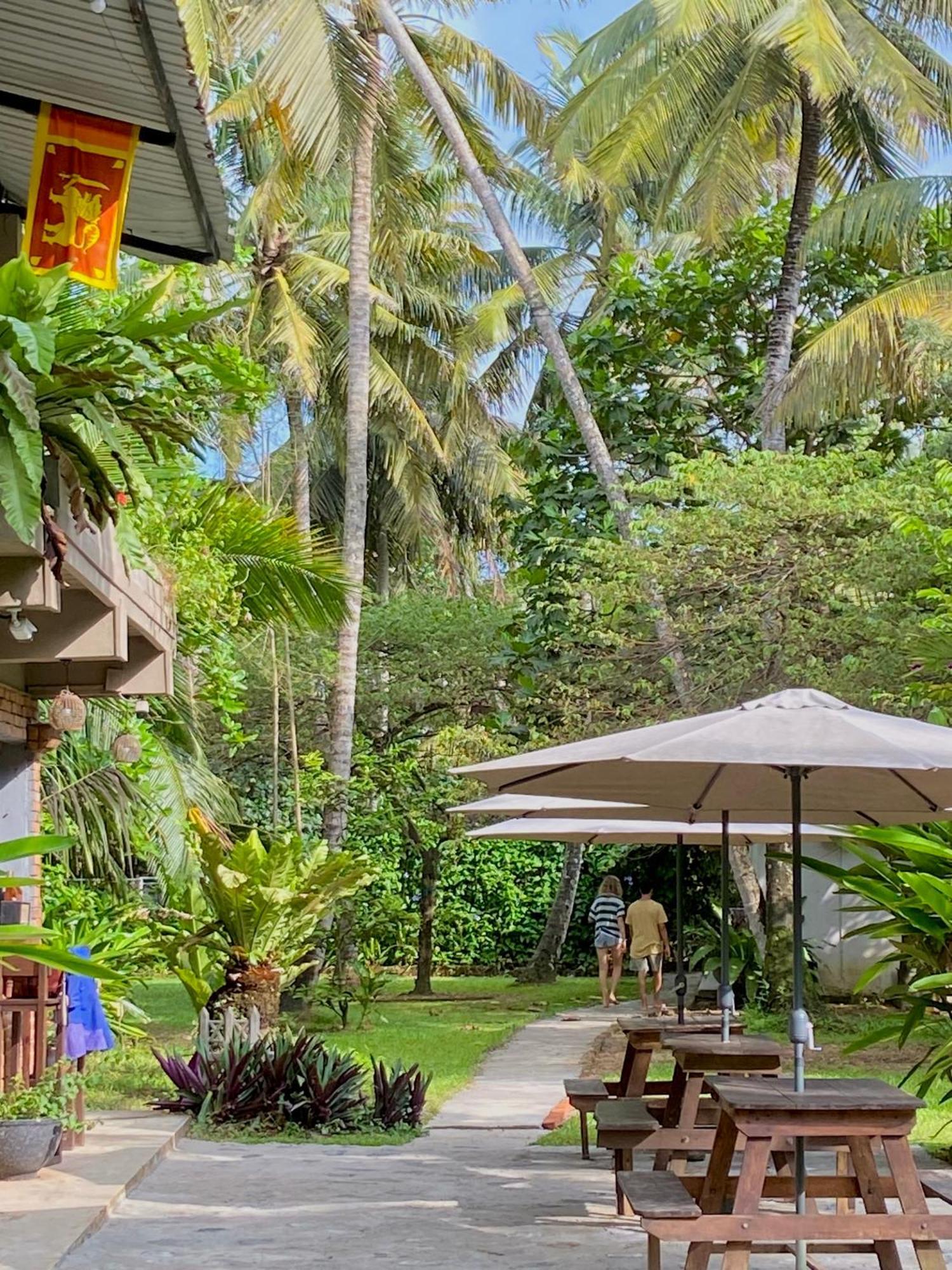 Babylon Mirissa Hostel ภายนอก รูปภาพ
