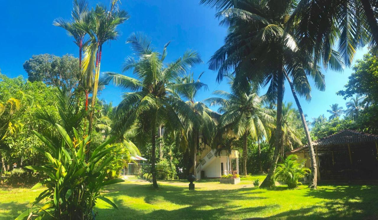 Babylon Mirissa Hostel ภายนอก รูปภาพ